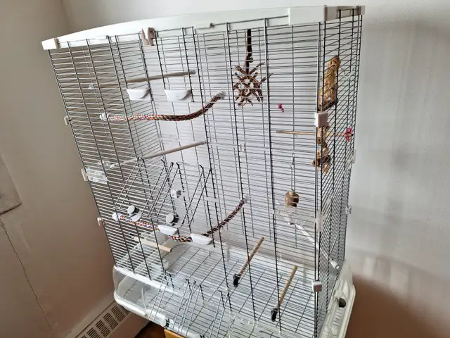 Cage a oiseau Vision 60$ - Photo 4