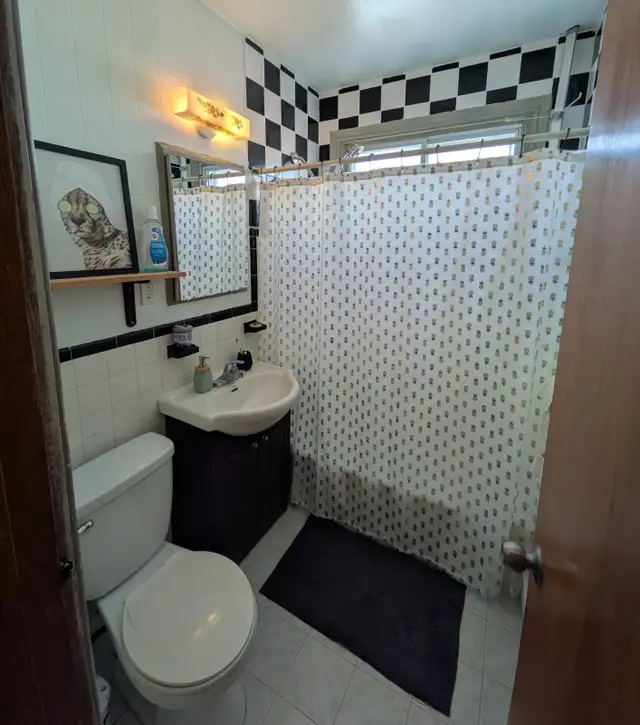 Grand 5 1/2, pour Juin/Juillet, duplex 2e étage, Villeray, Mtl - Photo 6