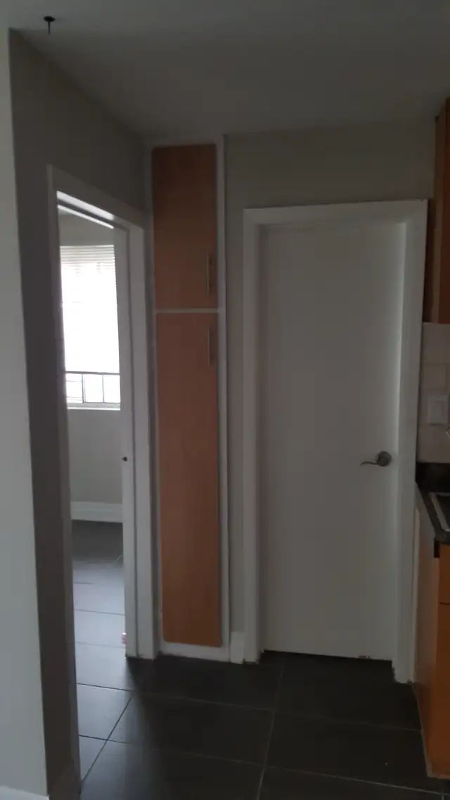 Newly Renovated 1 BR apartment - Derry and Airport Road - Photo 2