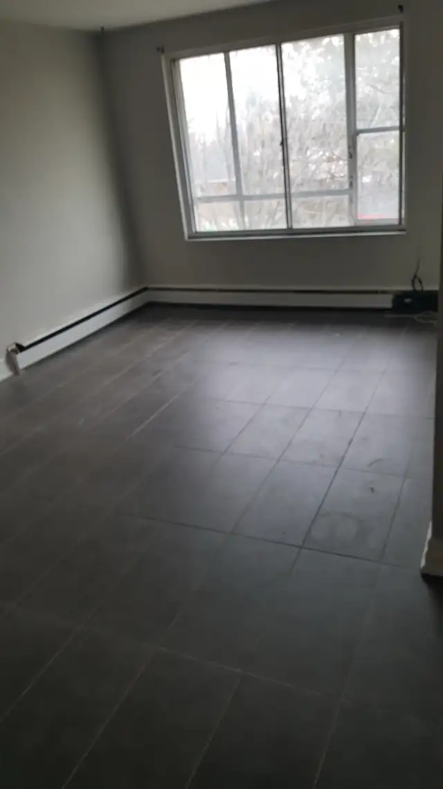 Newly Renovated 1 BR apartment - Derry and Airport Road - Photo 4