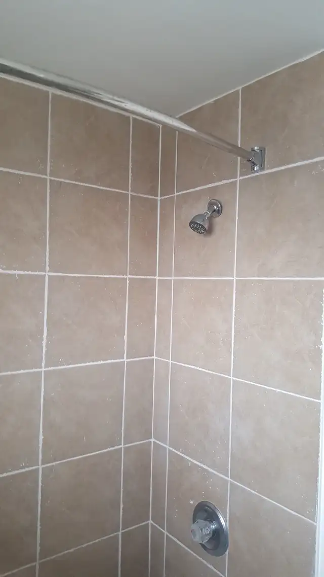 Newly Renovated 1 BR apartment - Derry and Airport Road - Photo 5