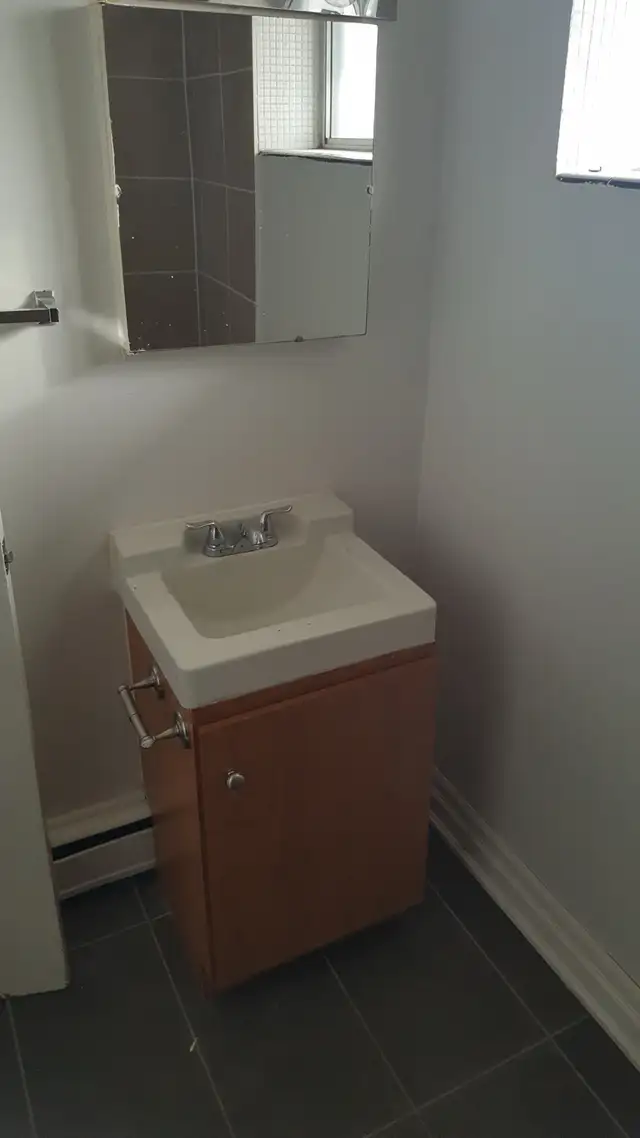 Newly Renovated 1 BR apartment - Derry and Airport Road - Photo 6