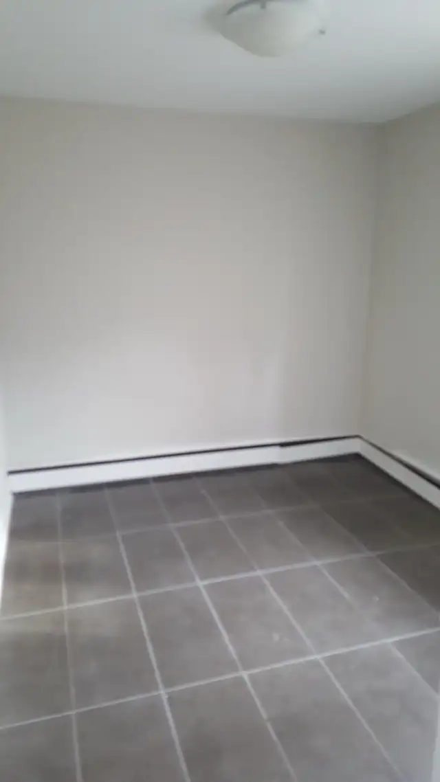 Newly Renovated 1 BR apartment - Derry and Airport Road - Photo 7