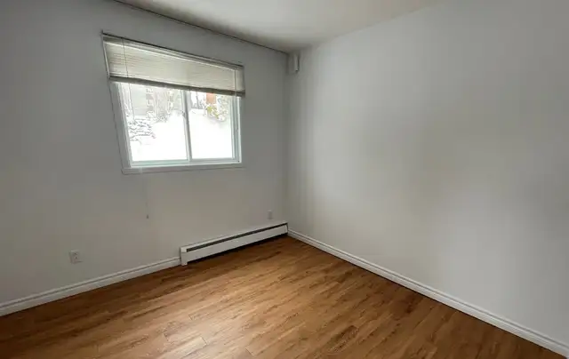 Grand et beau 4 1/2 rénové dans le Nord de Sherbrooke - Photo 6