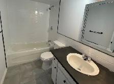 Grand et beau 4 1/2 rénové dans le Nord de Sherbrooke - Photo 7