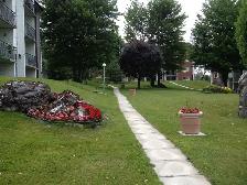 Grand et beau 4 1/2 rénové dans le Nord de Sherbrooke - Photo 11