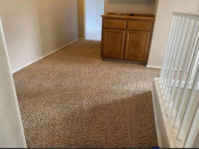 Carpet, Sofa And Rug Cleaning With Professional Method - Photo 6