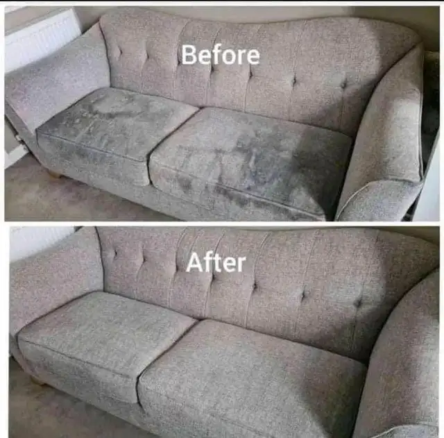 Professional Carpet & Upholstery Cleaning in GTA & Surrounding - Photo 3