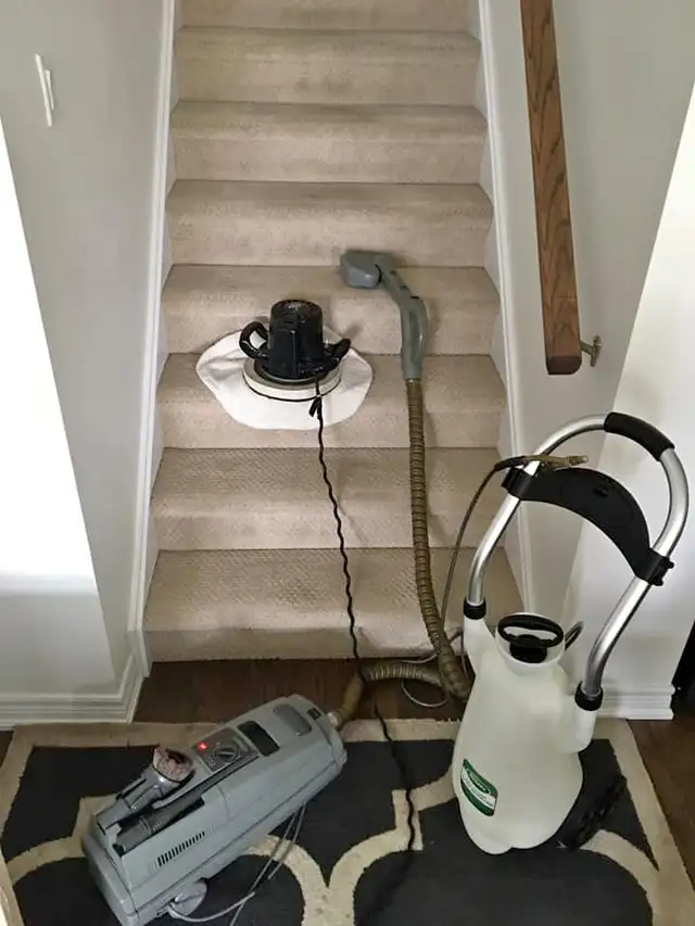 Let's Get Your Sofa And Carpet Cleaning Done With Professionals - Photo 5