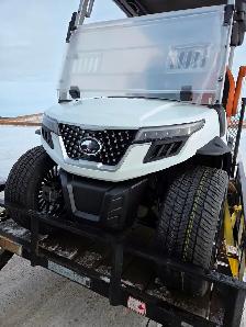 2026 Tara Spirit Golf Cart in Snow White