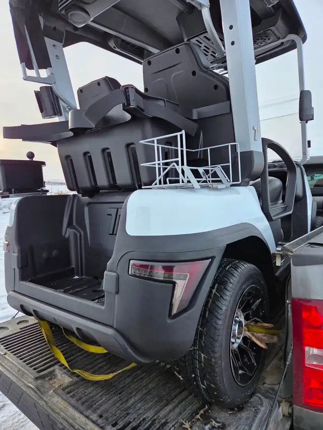 2026 Tara Spirit Golf Cart in Snow White - Photo 3