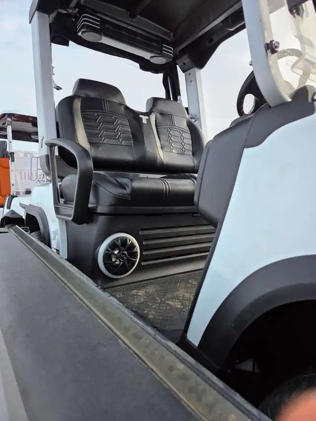 2026 Tara Spirit Golf Cart in Snow White - Photo 4