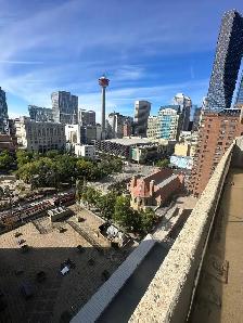 Downtown 1 Bed   Den Condo