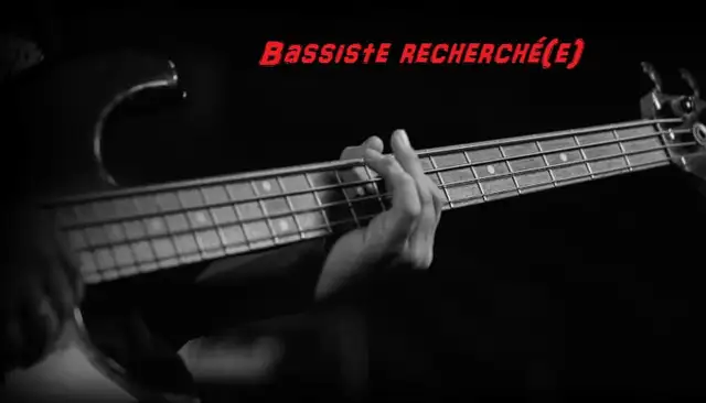 Bassiste - Opportunité