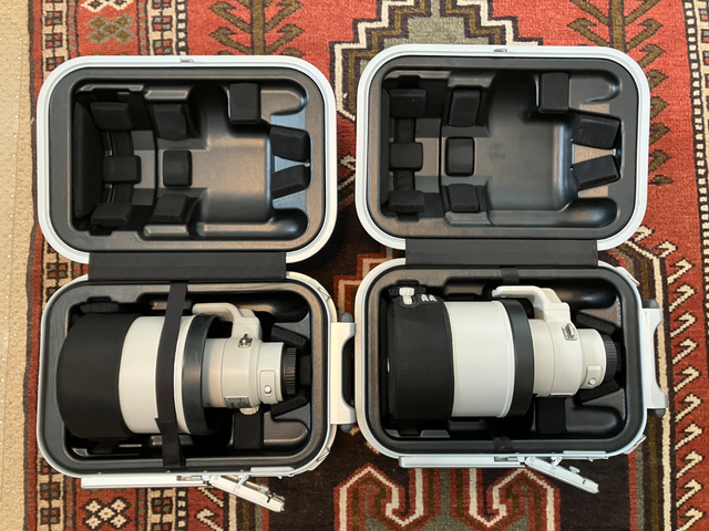 Canon top of the line EF lenses - 300mm f/2.8L and 400mm f/4 DO