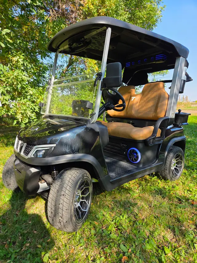 2026 Tara Spirit Golf Cart in Black Sapphire