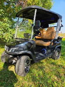 2026 Tara Spirit Golf Cart in Black Sapphire