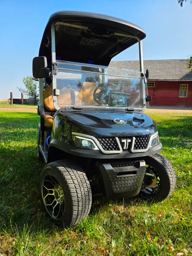 2026 Tara Spirit Golf Cart in Black Sapphire - Photo 3