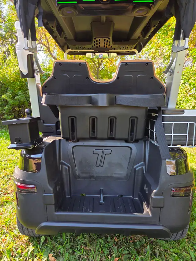 2026 Tara Spirit Golf Cart in Black Sapphire - Photo 4
