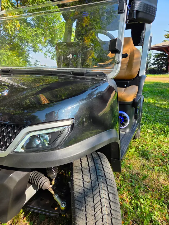 2026 Tara Spirit Golf Cart in Black Sapphire - Photo 5