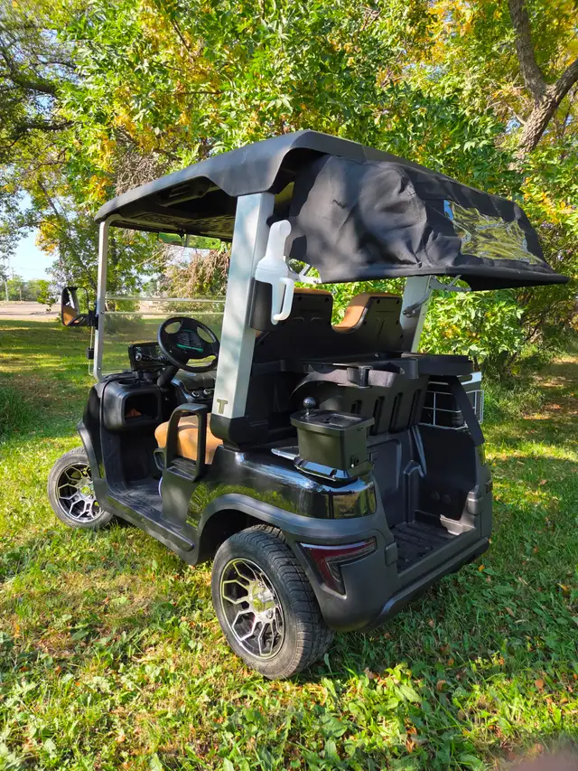 2026 Tara Spirit Golf Cart in Black Sapphire - Photo 6