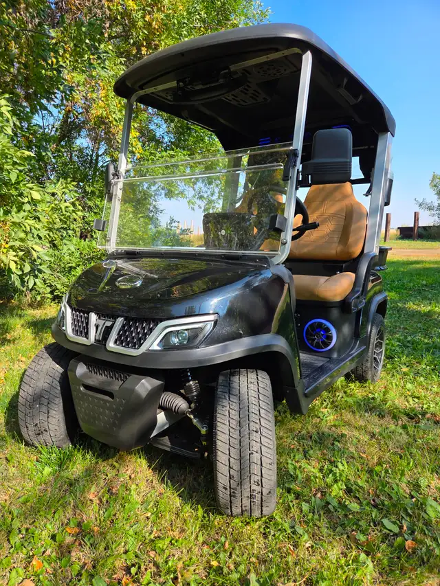 2026 Tara Spirit Golf Cart in Black Sapphire - Photo 9