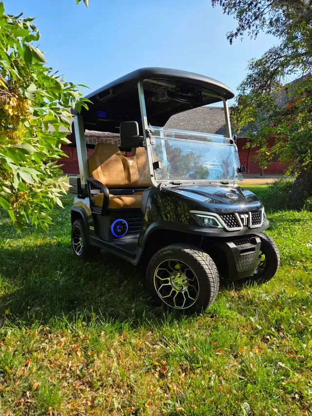 2026 Tara Spirit Golf Cart in Black Sapphire - Photo 10