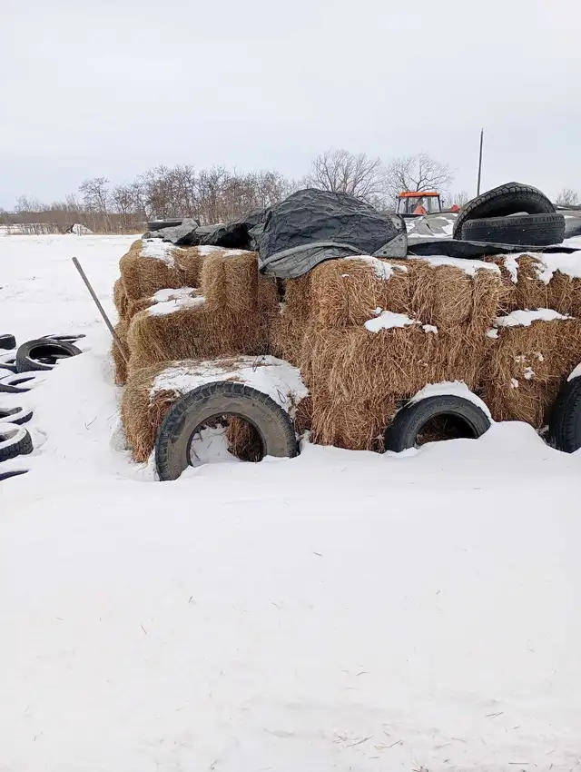 Small square hay bales