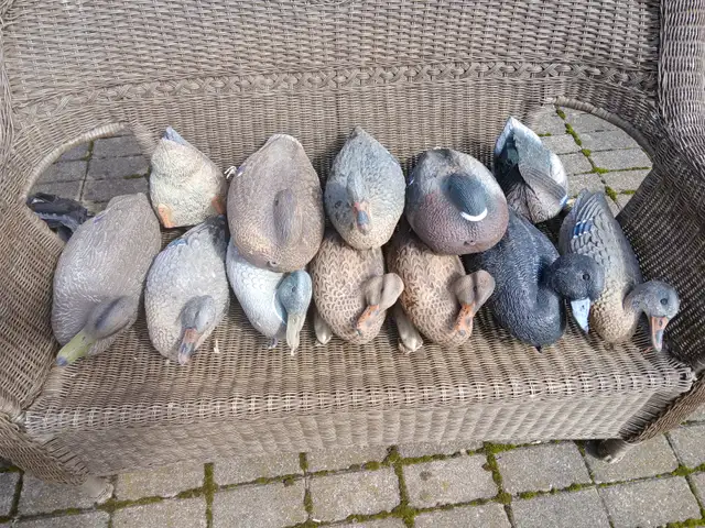 Duck decoys - Photo 2