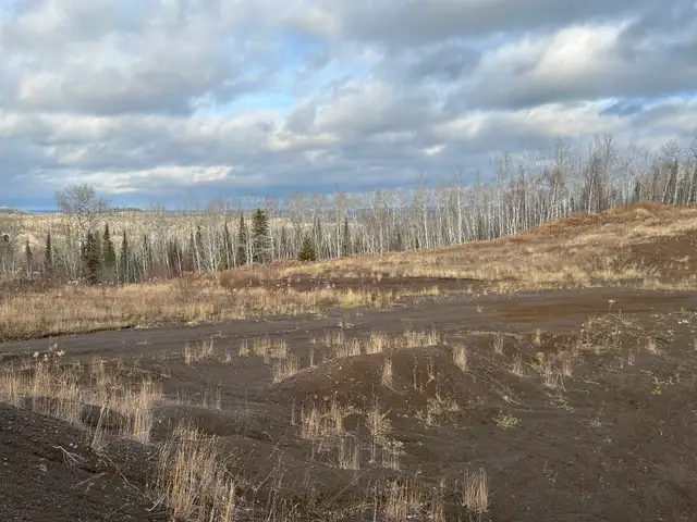 70 Acre Parcel with Active Gravel Pit | Lybster Townsh - Photo 7