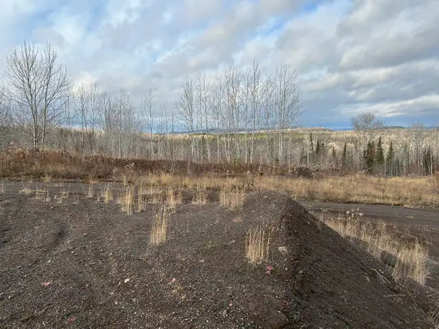 70 Acre Parcel with Active Gravel Pit | Lybster Townsh - Photo 8