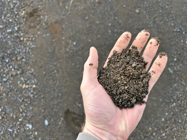 70 Acre Parcel with Active Gravel Pit | Lybster Townsh - Photo 9