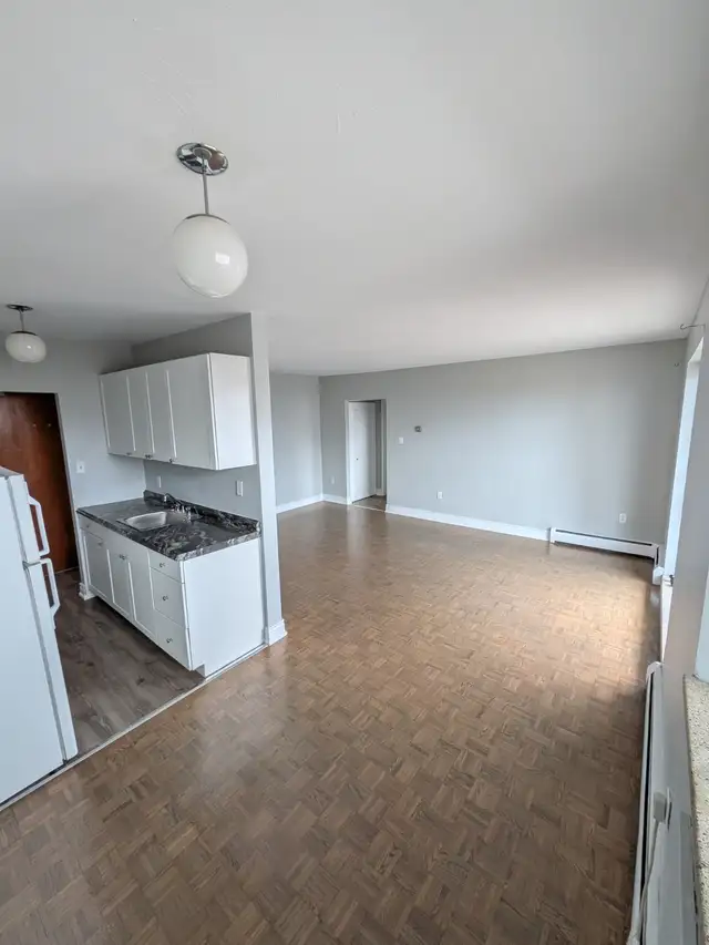 One Bedroom Apartment - Photo 5