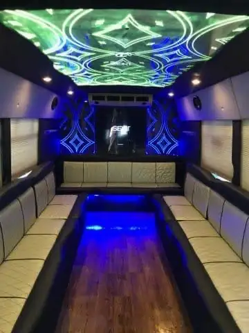 WEDDING LIMOUSINE NIAGARA LIMO -BIRTHDAY CLUB CONCERT DINNER - Photo 6