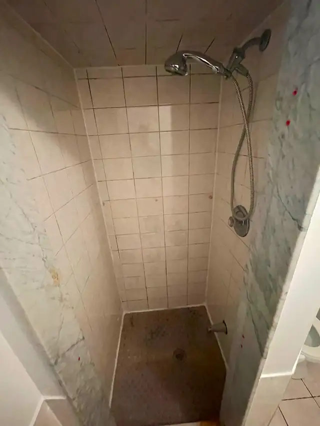 Birchmount and Danforth Basement Apartment Rental - Photo 6