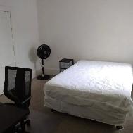 May-Share a 3bd apt-Preston/Somerset-10min to Carleton/OttawaU