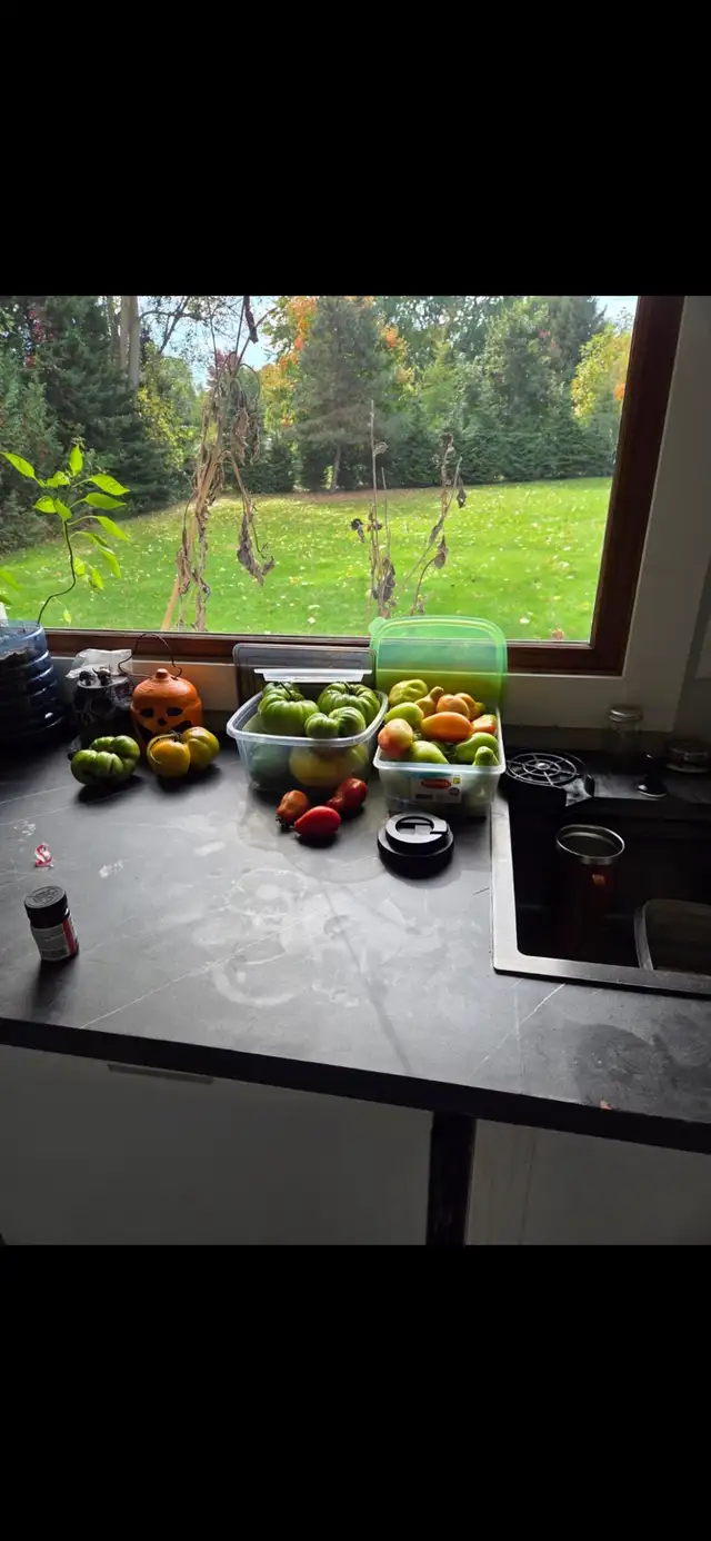 Room for rent plus access to amenities.