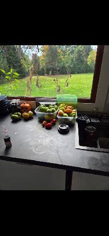 Room for rent plus access to amenities.