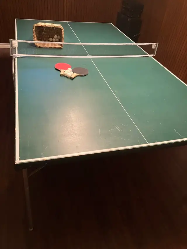 Ping pong table