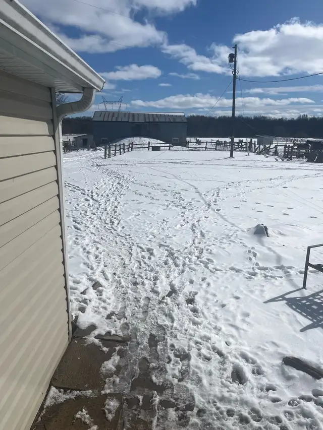 I shovel driveways! Snow shoveling
