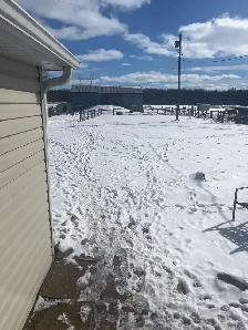 I shovel driveways! Snow shoveling