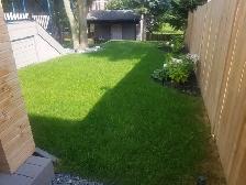 LAWN CARE PROFESSIONAL - Photo 2