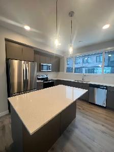 Corner Townhouse for Rent - Photo 6