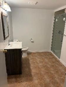 Newly renovated Basement for rent