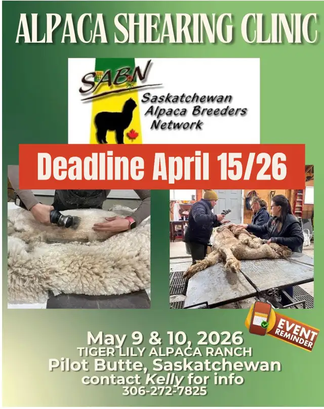 Shearing Oppurtunity