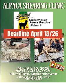Shearing Oppurtunity