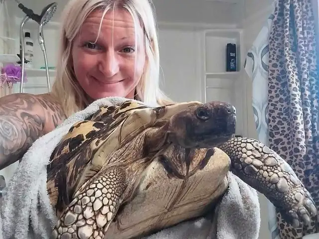 leopard Hatchlings born yesterday