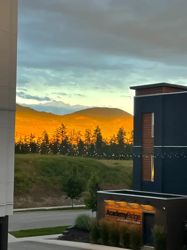 Furnished ground level studio close to ubco - Photo 4