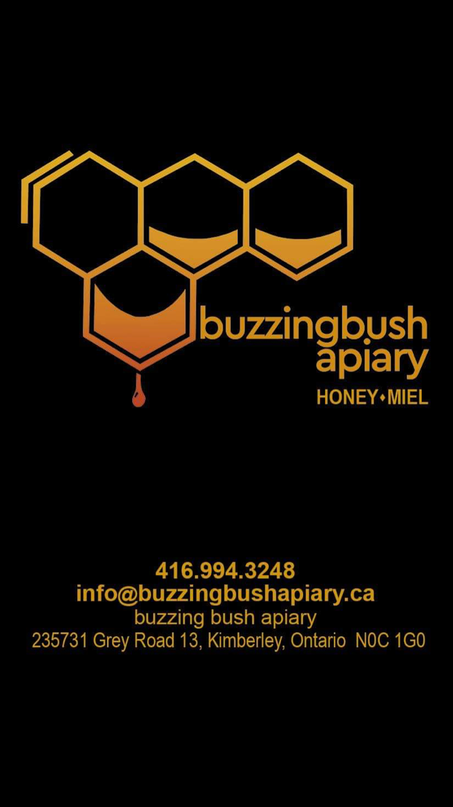 Intro to Beekeeping Course - Photo 3