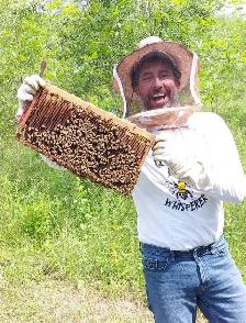 Intro to Beekeeping Course - Photo 6